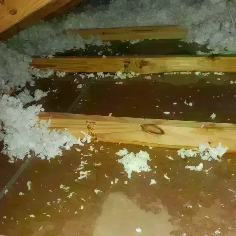 Attic Water Damage in Linneus, MO